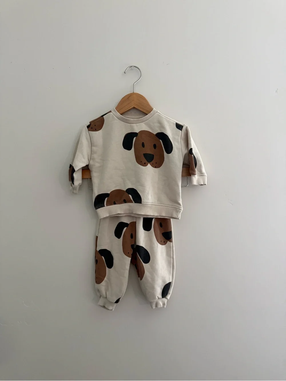 Zara 6-9 HSA Puppy Set